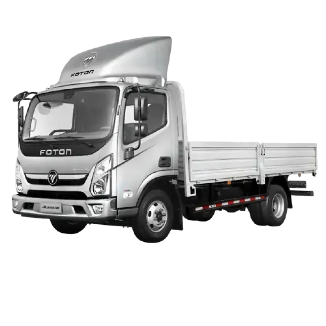 FOTON BJ1065