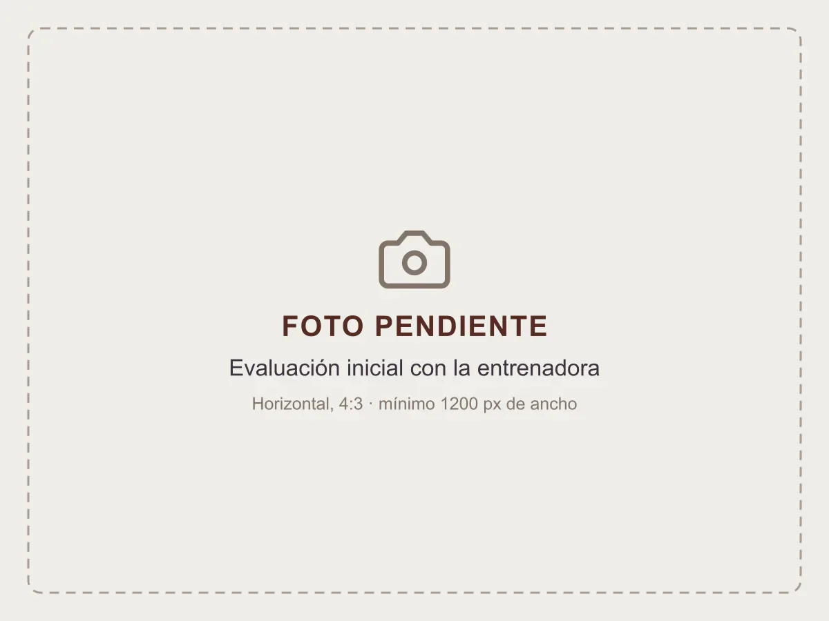 1. Clase de prueba gratis